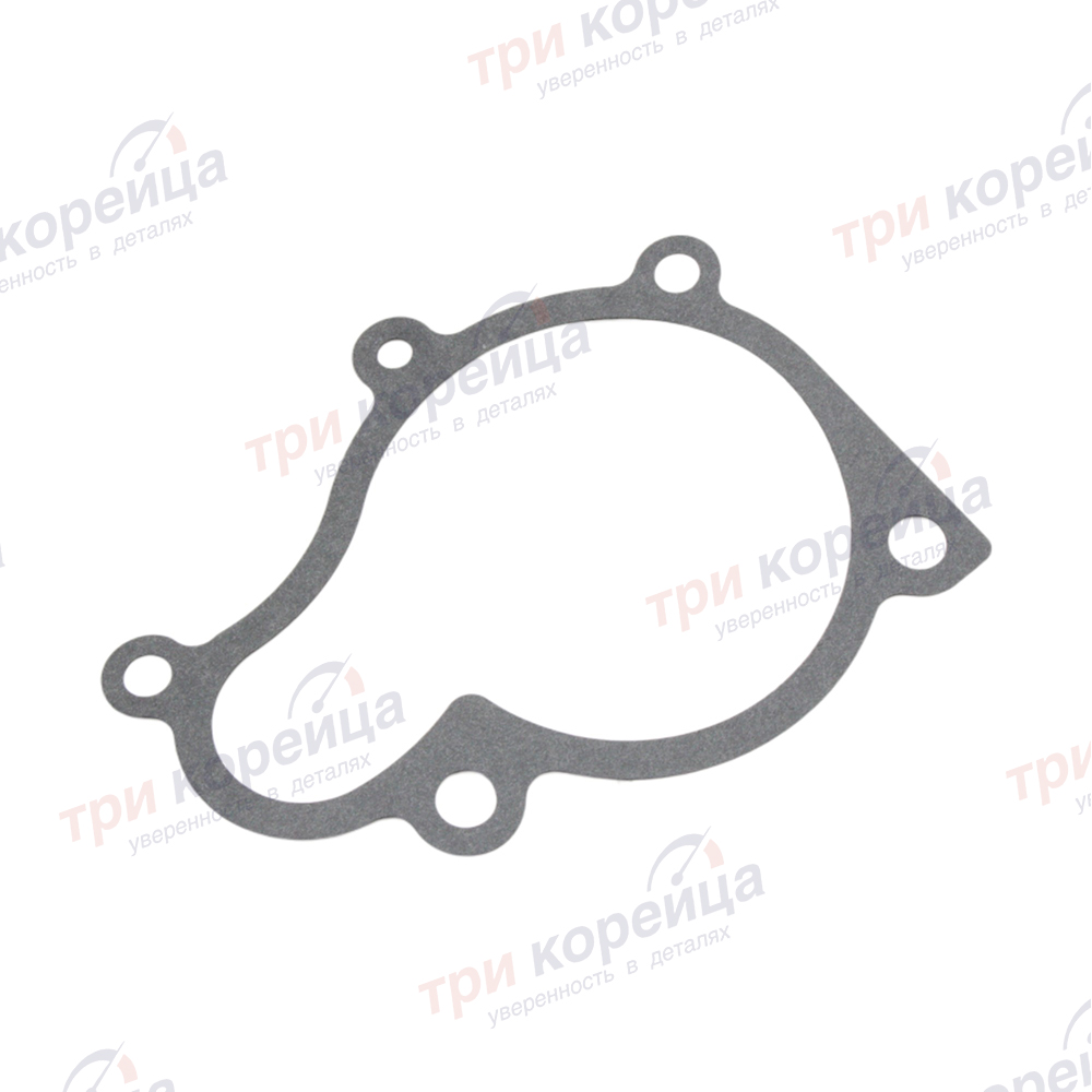 Прокладка насоса системы охлаждения (помпы) Tucson Sportage Santa_Fe Rheejin Корея 2512427400. Фото №1 в каталоге ТРИКОР.