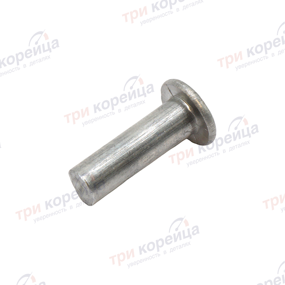Заклепка тормозных колодок 6х20 (комплект 64шт.) HD65 72 78 120 Технопром Россия №32 (202442 альянс). Фото №1 в каталоге ТРИКОР.